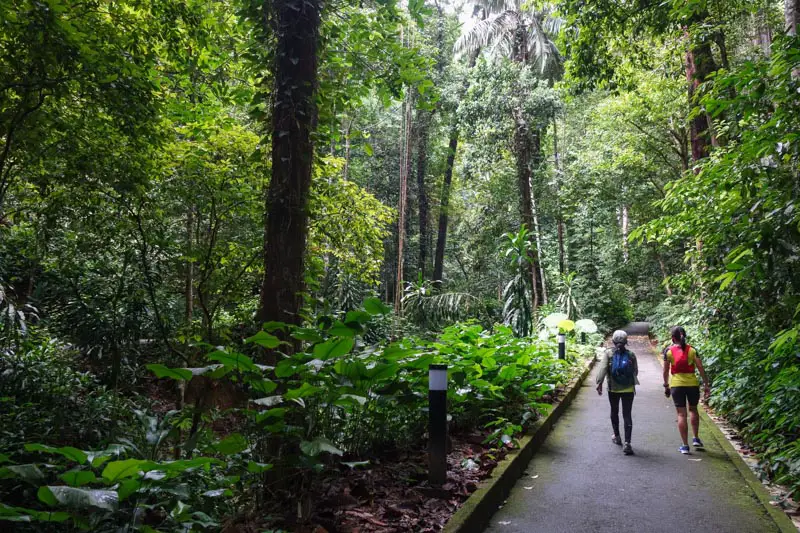 Penang Botanical Gardens: 16 Best Things to Do in 2023 - Penang Insider